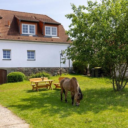 Ferienwohnung "Flori'S Ponyhof" Kröpelin Exteriör bild